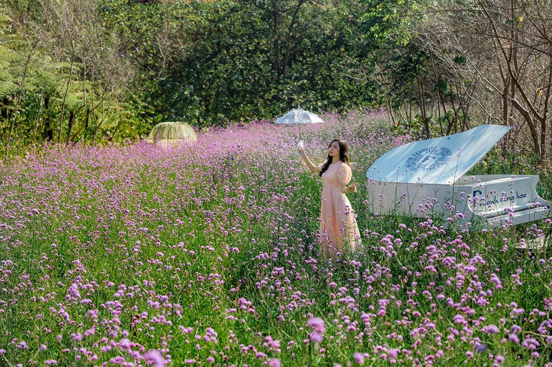 Cà phê F nằm giữa cánh đồng hoa rộng lớn giữa lưng chừng đèo. Cà phê F nằm giữa cánh đồng hoa rộng lớn giữa lưng chừng đèo.