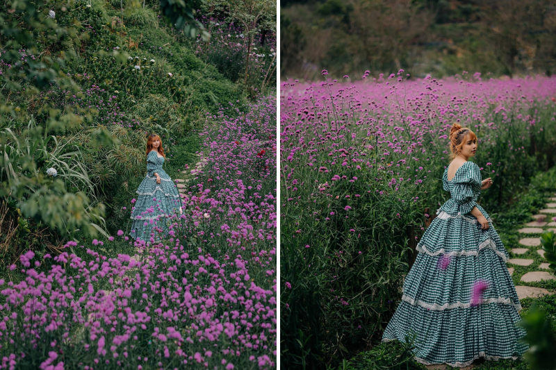 Cánh đồng hoa cà phê F có muôn vàn loài hoa khoe sắc. Cánh đồng hoa cà phê F có muôn vàn loài hoa khoe sắc.