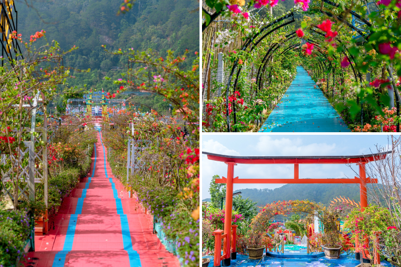 Vườn Thượng Uyển Bay rực rỡ sắc màu. Vườn Thượng Uyển Bay rực rỡ sắc màu.