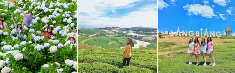 Đà Lạt | Vùng Đất Cổ Tích Fairytale Land