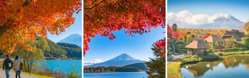 Nhật Bản: Tokyo | Yamanashi | Fuji