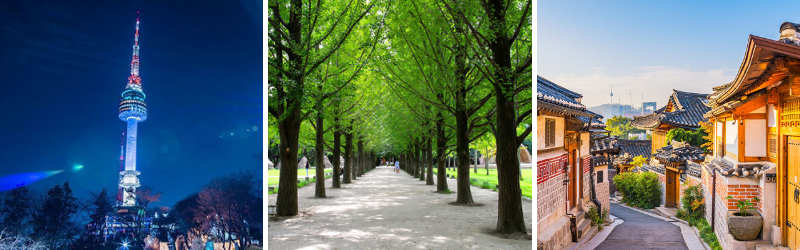 Hàn Quốc: Seoul | Nami | Everland