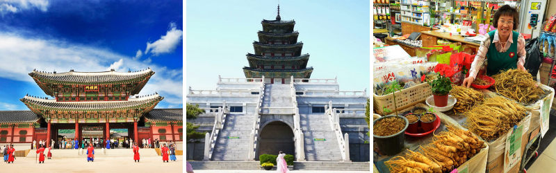 Hàn Quốc: Seoul | Nami | Everland