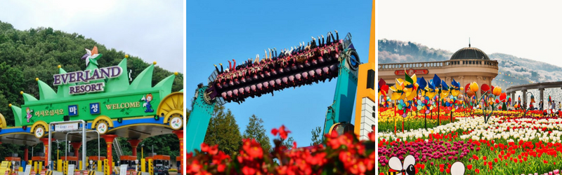 Hàn Quốc: Seoul | Nami | Everland