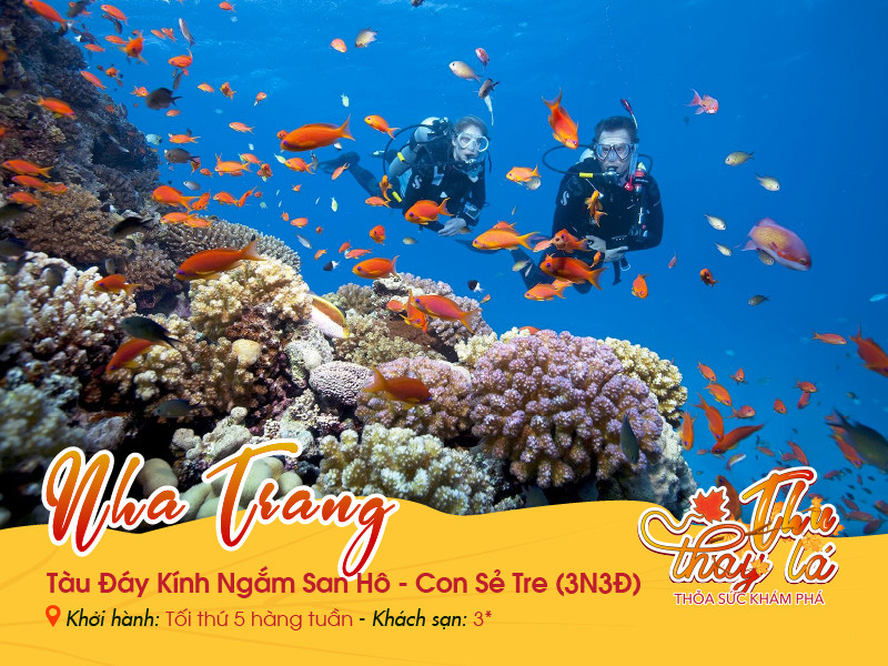 tour-du-lich-nha-trang-hon-soi-thien-duong-dai-duong-3n3d Nha Trang | Tàu Đáy Kính Ngắm San Hô | Con Sẻ Tre