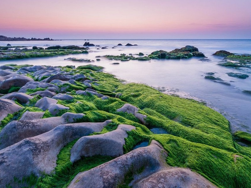 tour-du-lich-tet-ninh-chu-vinh-hy-co-thach-3n2d-2 NINH CHỮ | CỔ THẠCH | VỊNH VĨNH HY